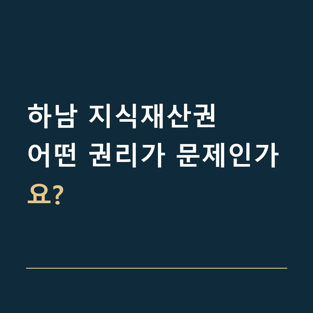 하남 지식재산권 · 어떤 권리가 문제인가요?