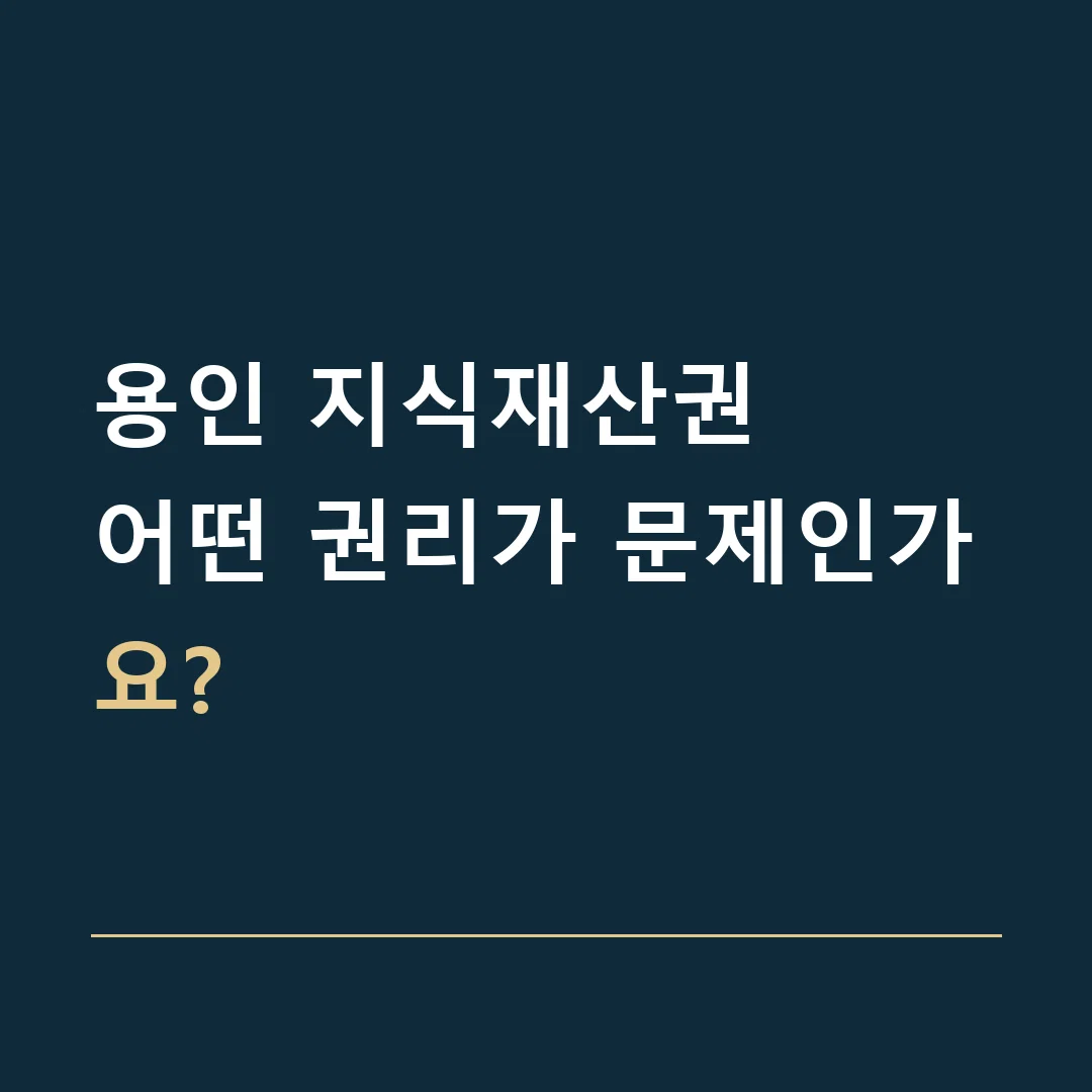 용인 지식재산권 · 어떤 권리가 문제인가요?