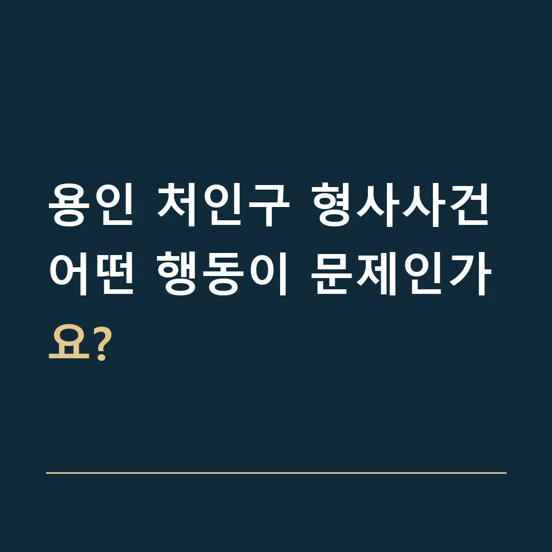용인 처인구 형사사건 · 어떤 행동이 문제인가요?