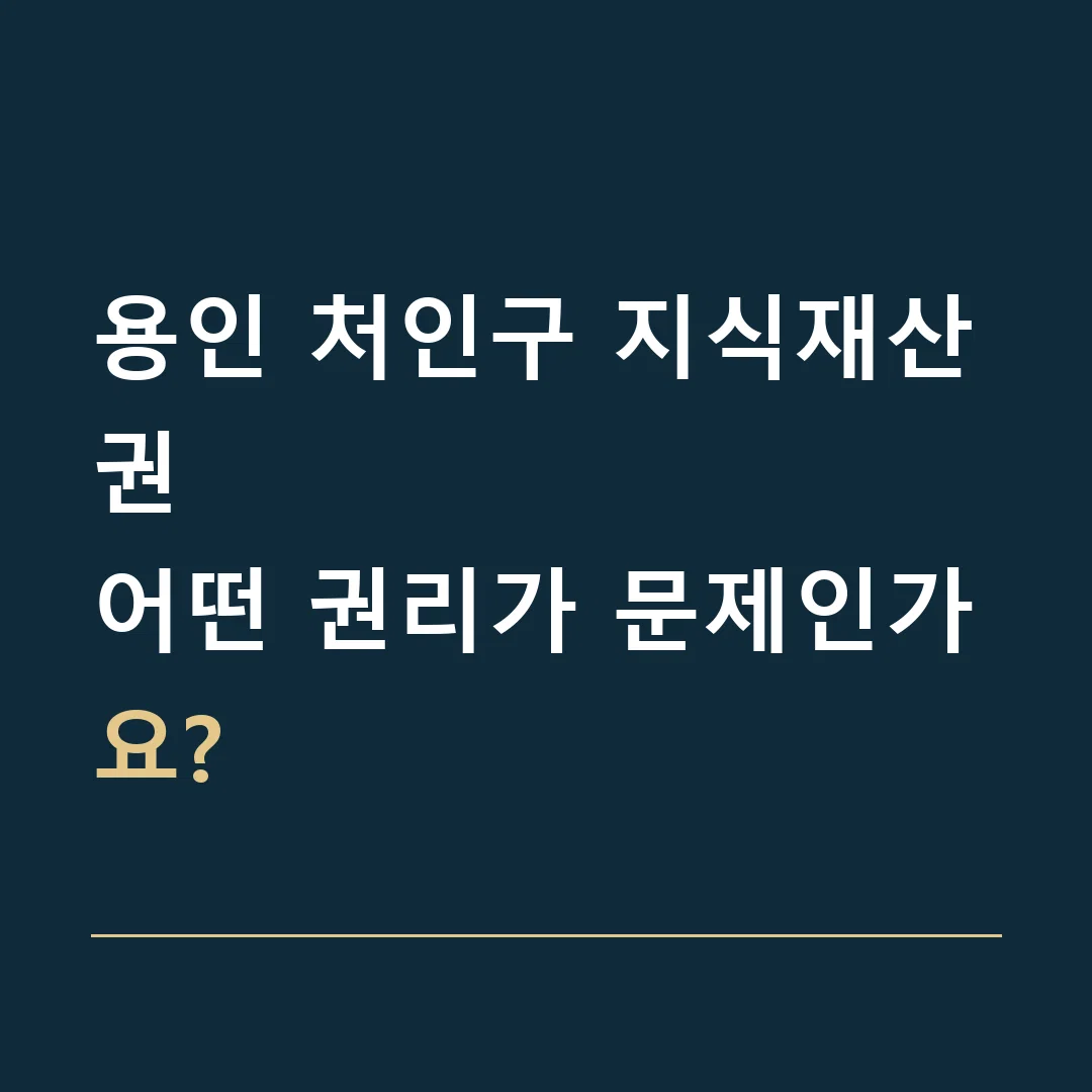 용인 처인구 지식재산권 · 어떤 권리가 문제인가요?