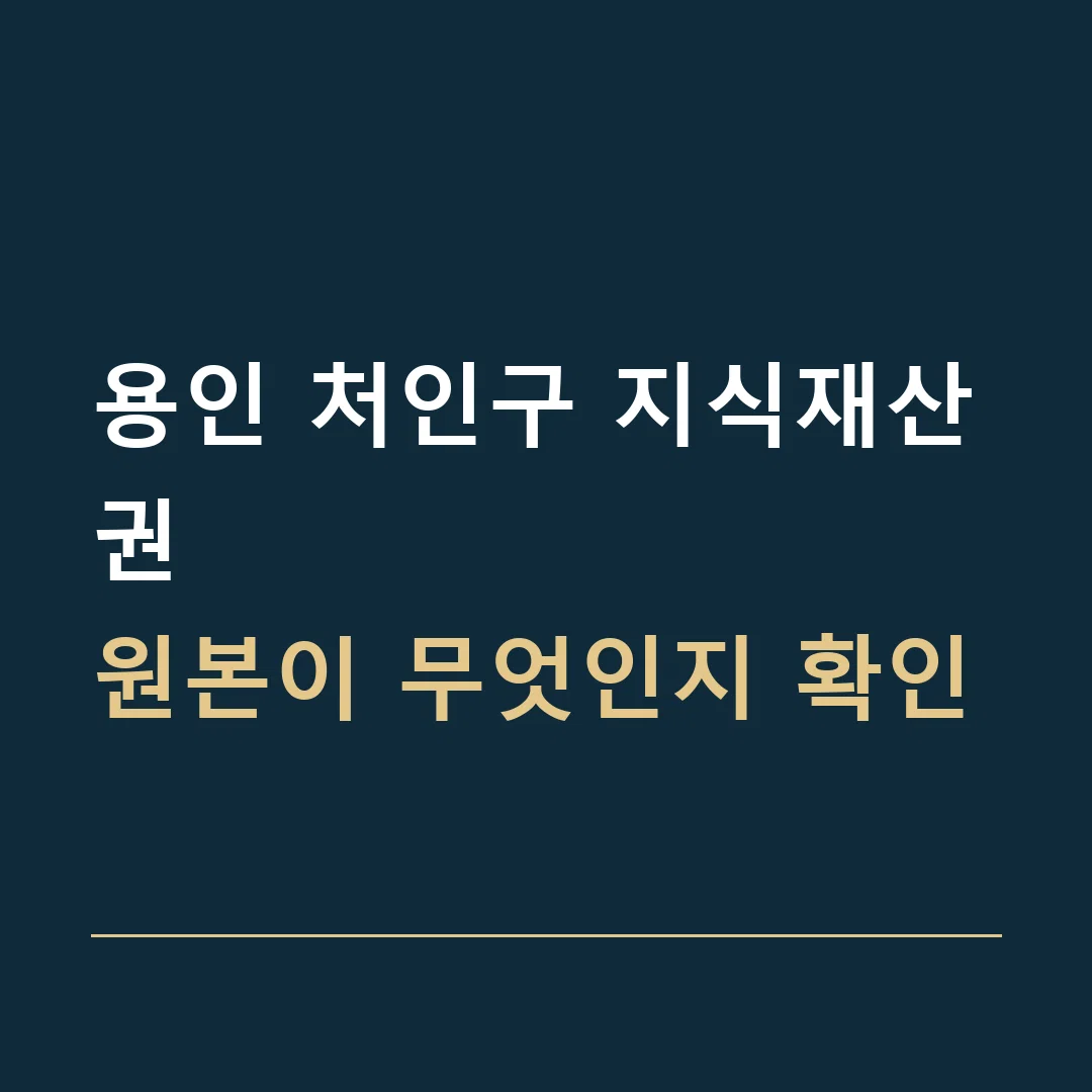 용인 처인구 지식재산권 · 원본이 무엇인지 확인