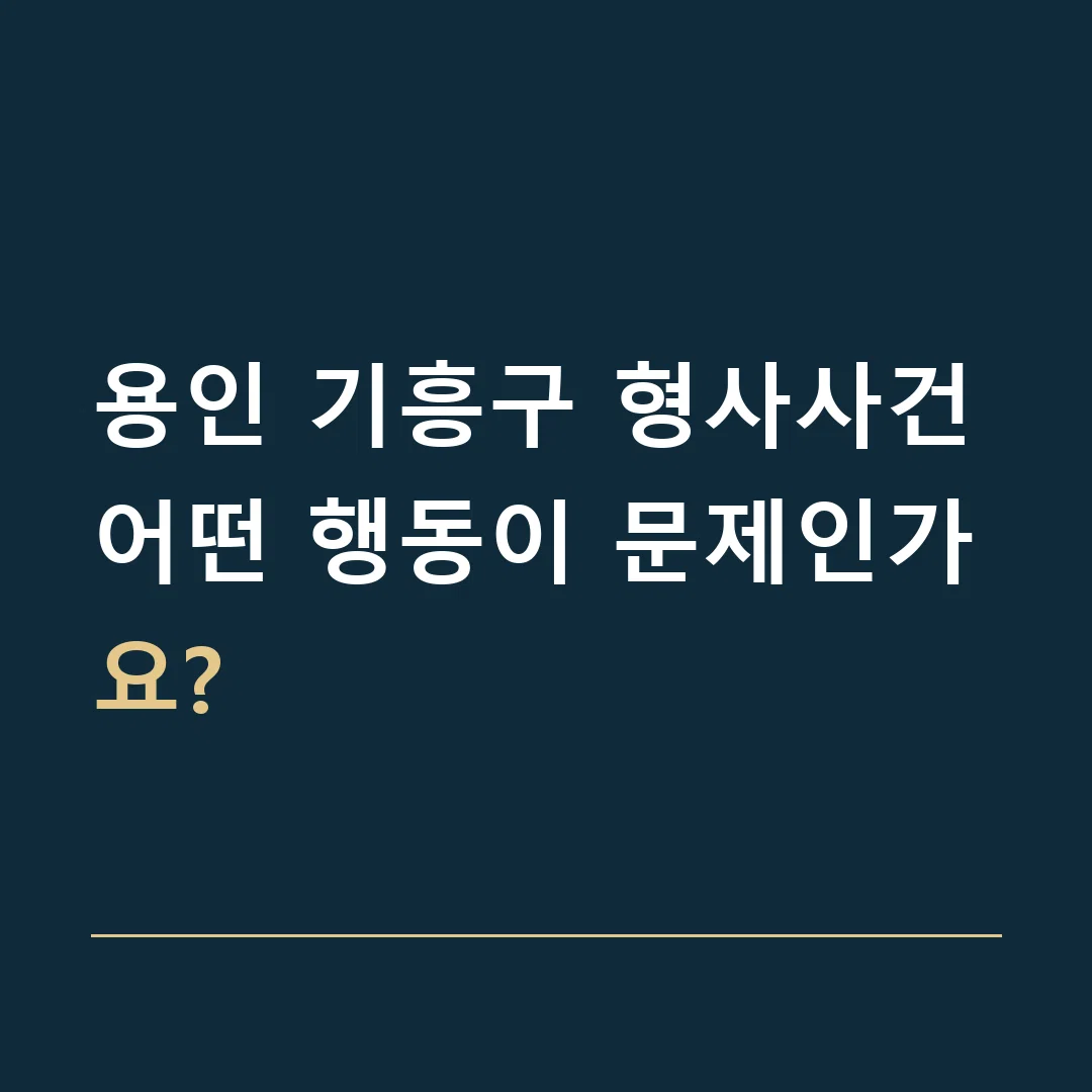 용인 기흥구 형사사건 · 어떤 행동이 문제인가요?