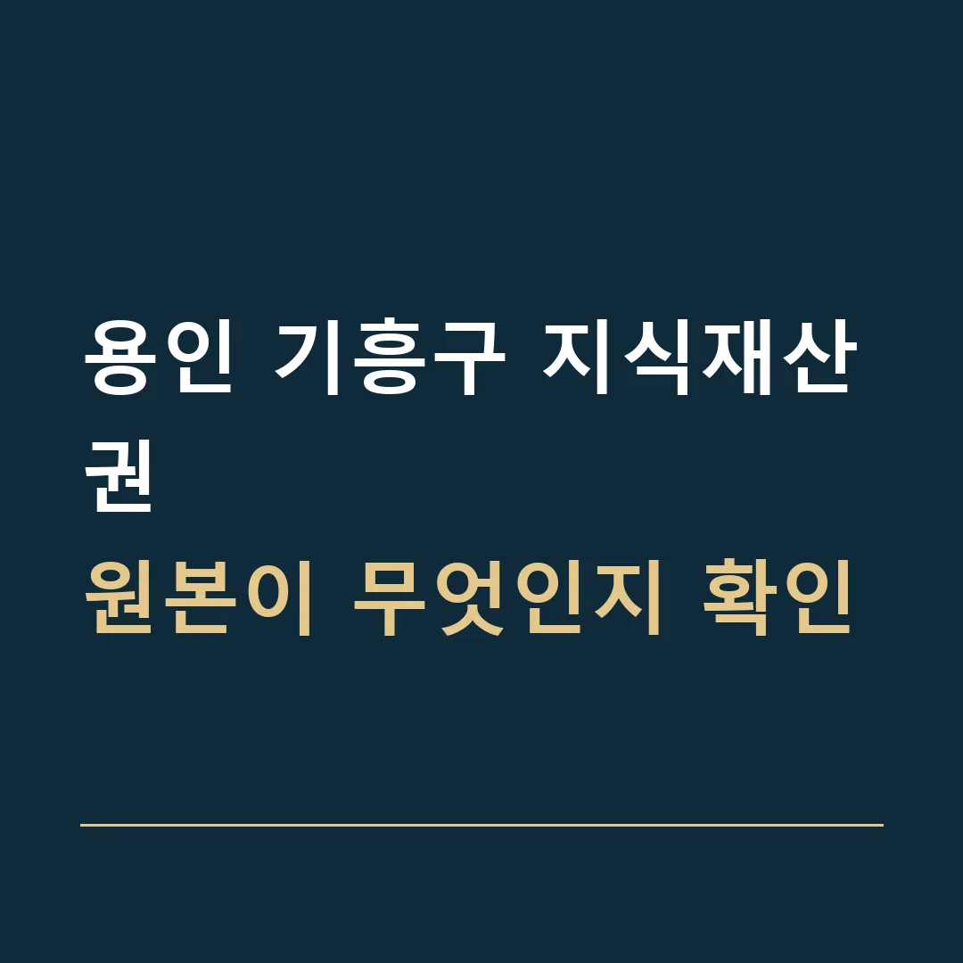용인 기흥구 지식재산권 · 원본이 무엇인지 확인