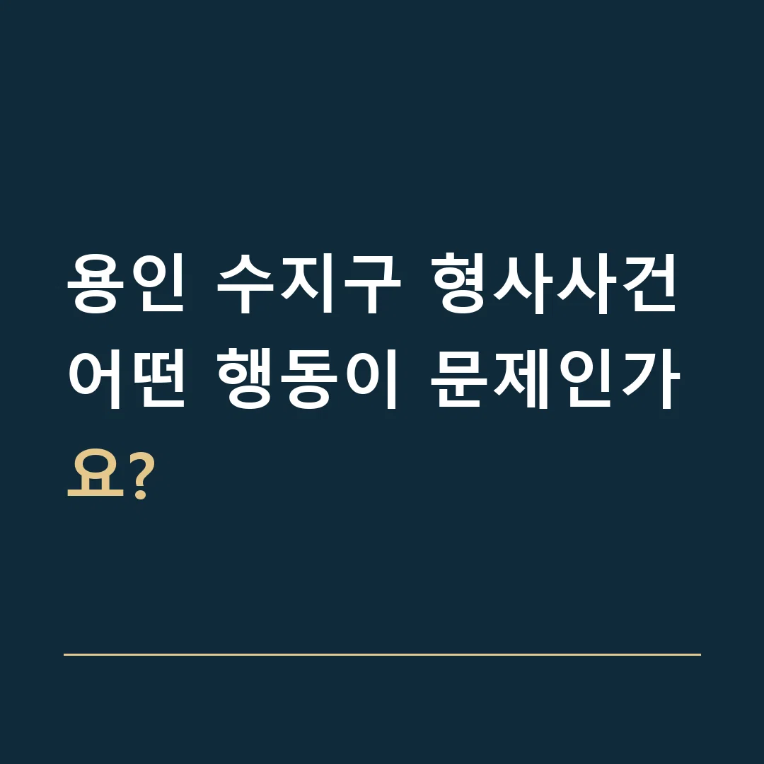 용인 수지구 형사사건 · 어떤 행동이 문제인가요?