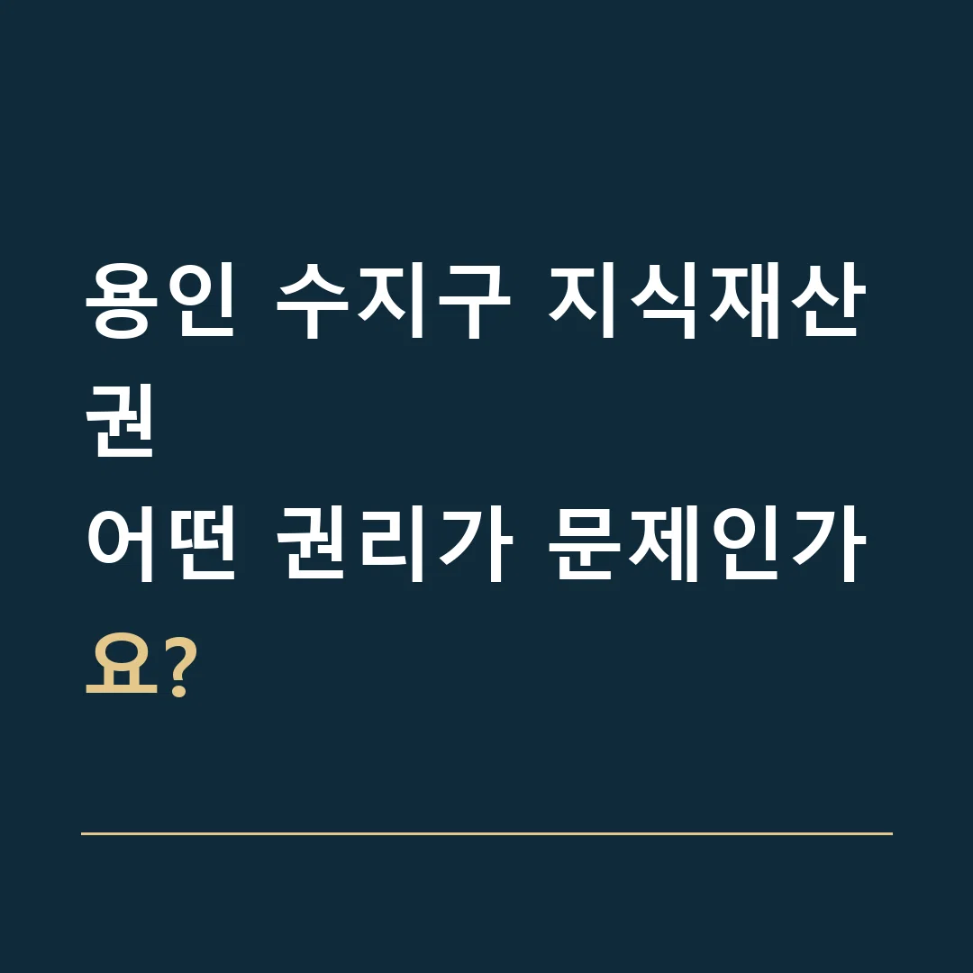 용인 수지구 지식재산권 · 어떤 권리가 문제인가요?