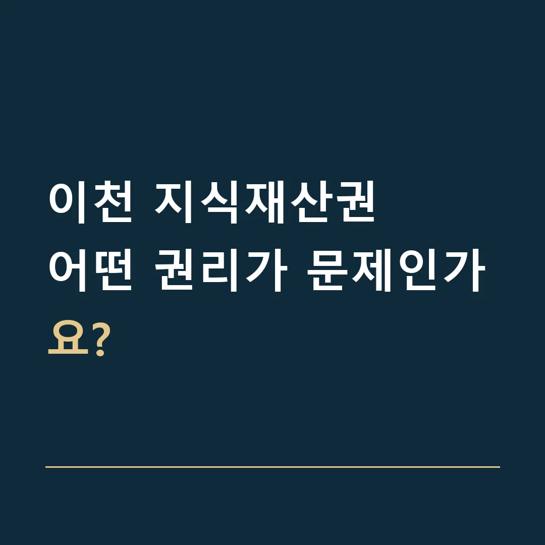 이천 지식재산권 · 어떤 권리가 문제인가요?