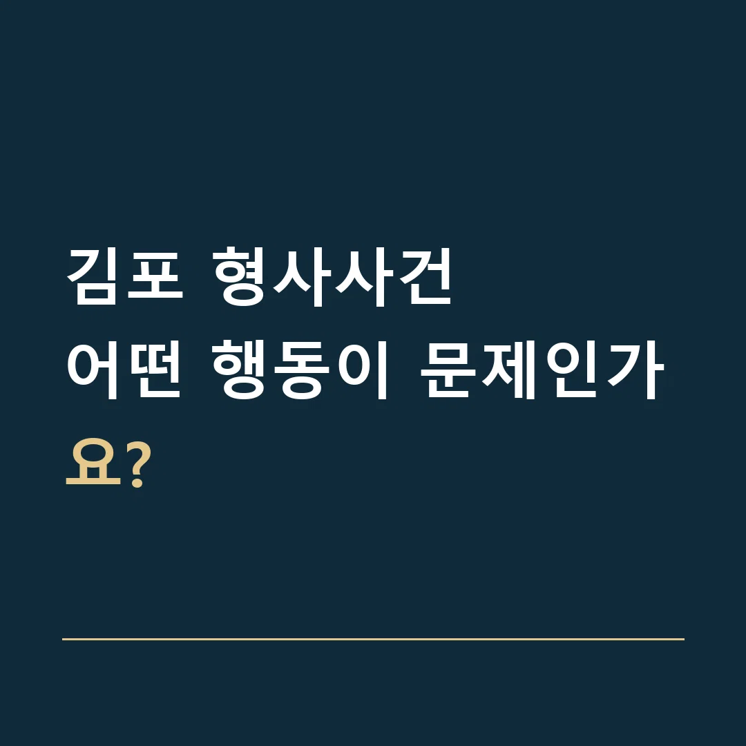 김포 형사사건 · 어떤 행동이 문제인가요?