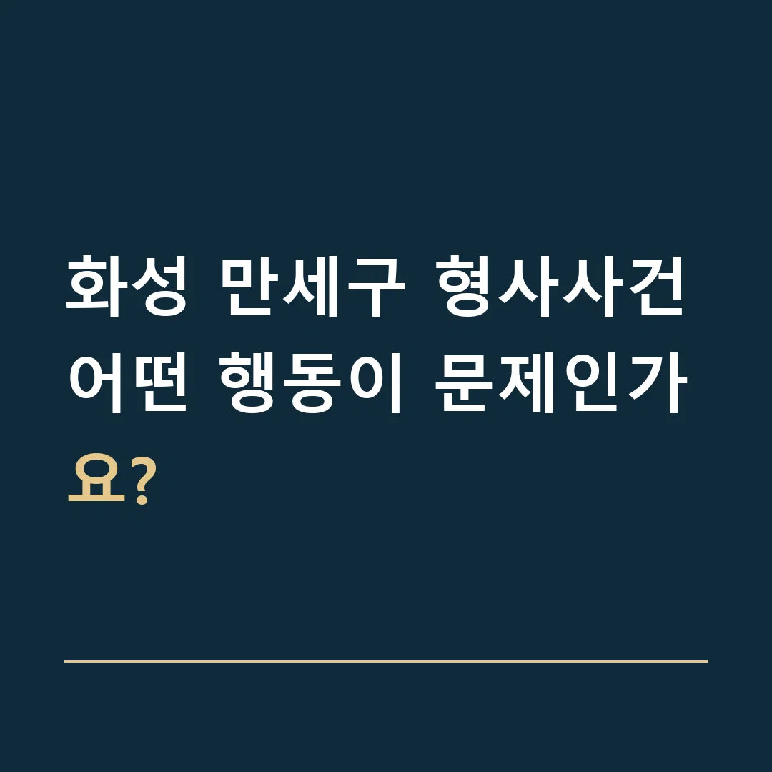 화성 만세구 형사사건 · 어떤 행동이 문제인가요?