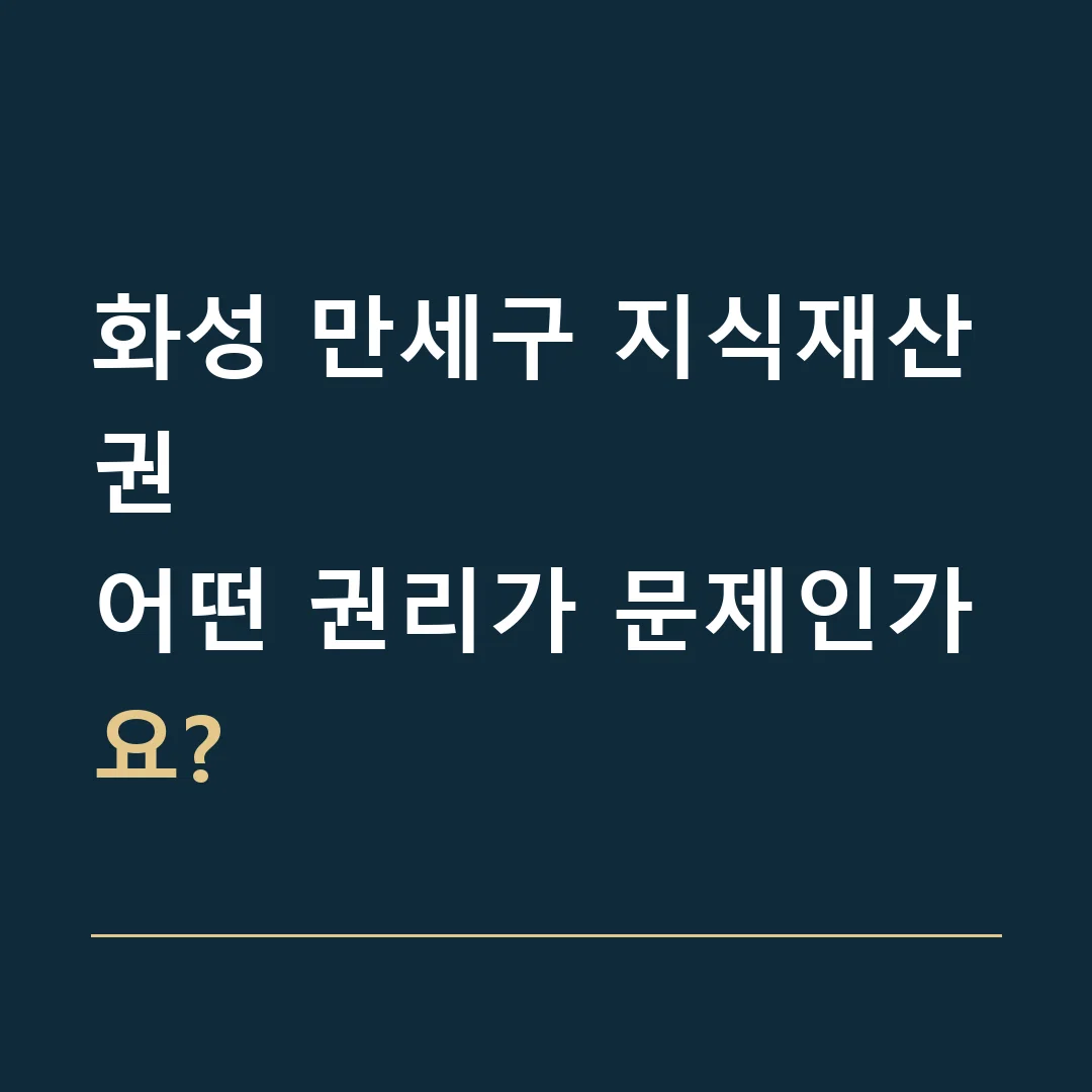 화성 만세구 지식재산권 · 어떤 권리가 문제인가요?