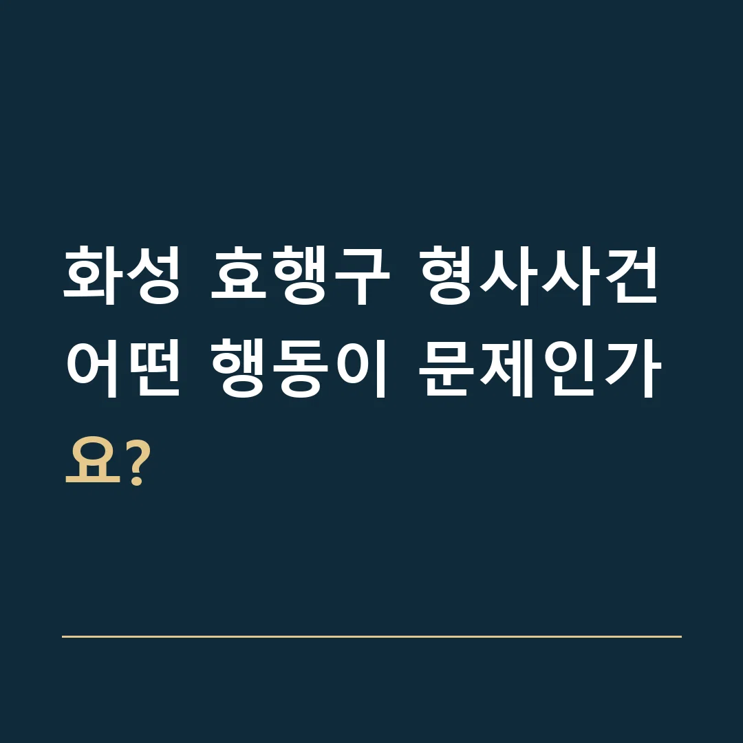 화성 효행구 형사사건 · 어떤 행동이 문제인가요?