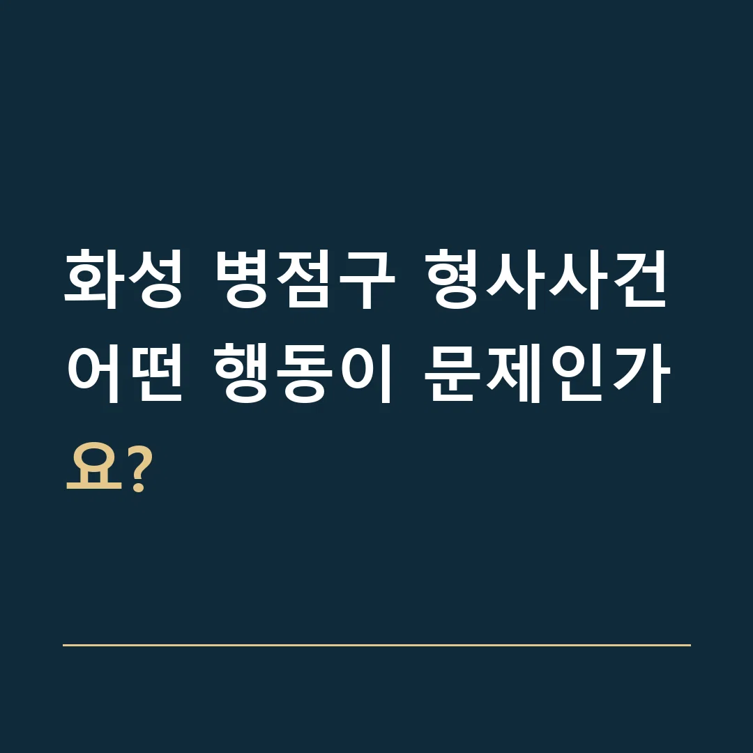 화성 병점구 형사사건 · 어떤 행동이 문제인가요?