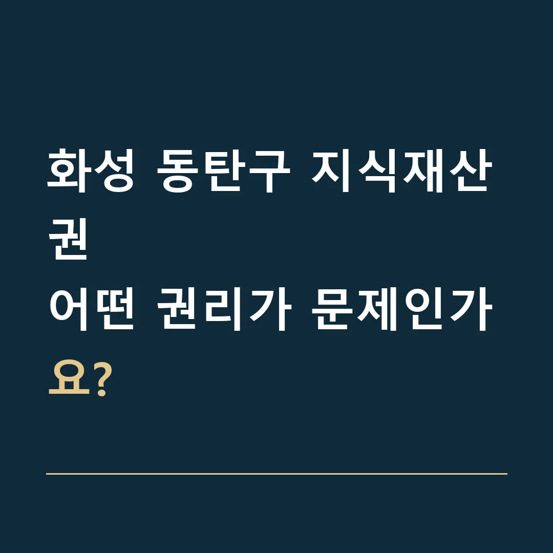 화성 동탄구 지식재산권 · 어떤 권리가 문제인가요?