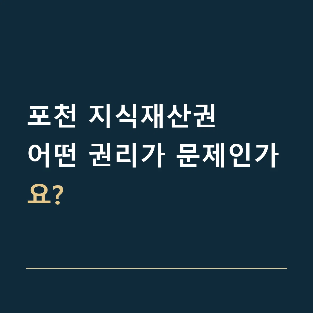 포천 지식재산권 · 어떤 권리가 문제인가요?