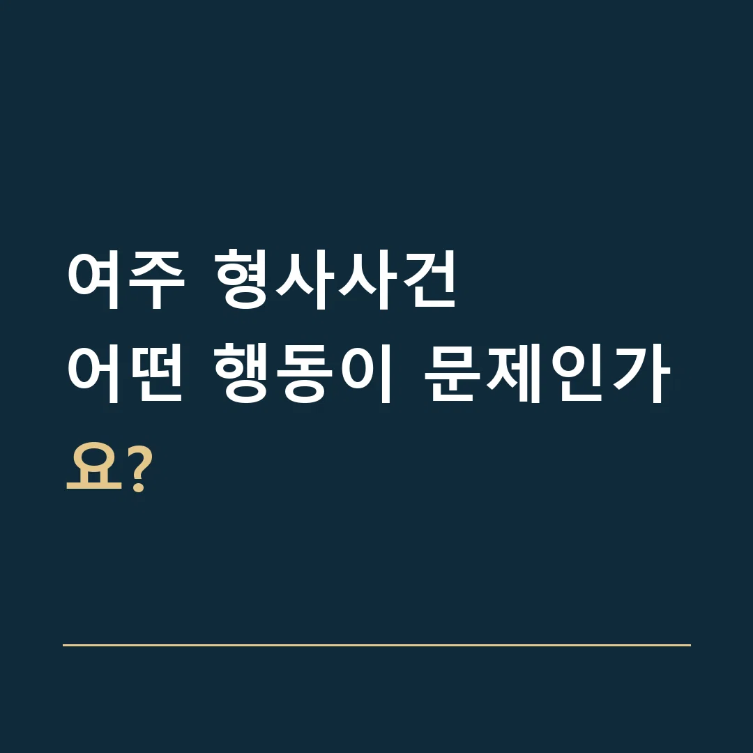 여주 형사사건 · 어떤 행동이 문제인가요?