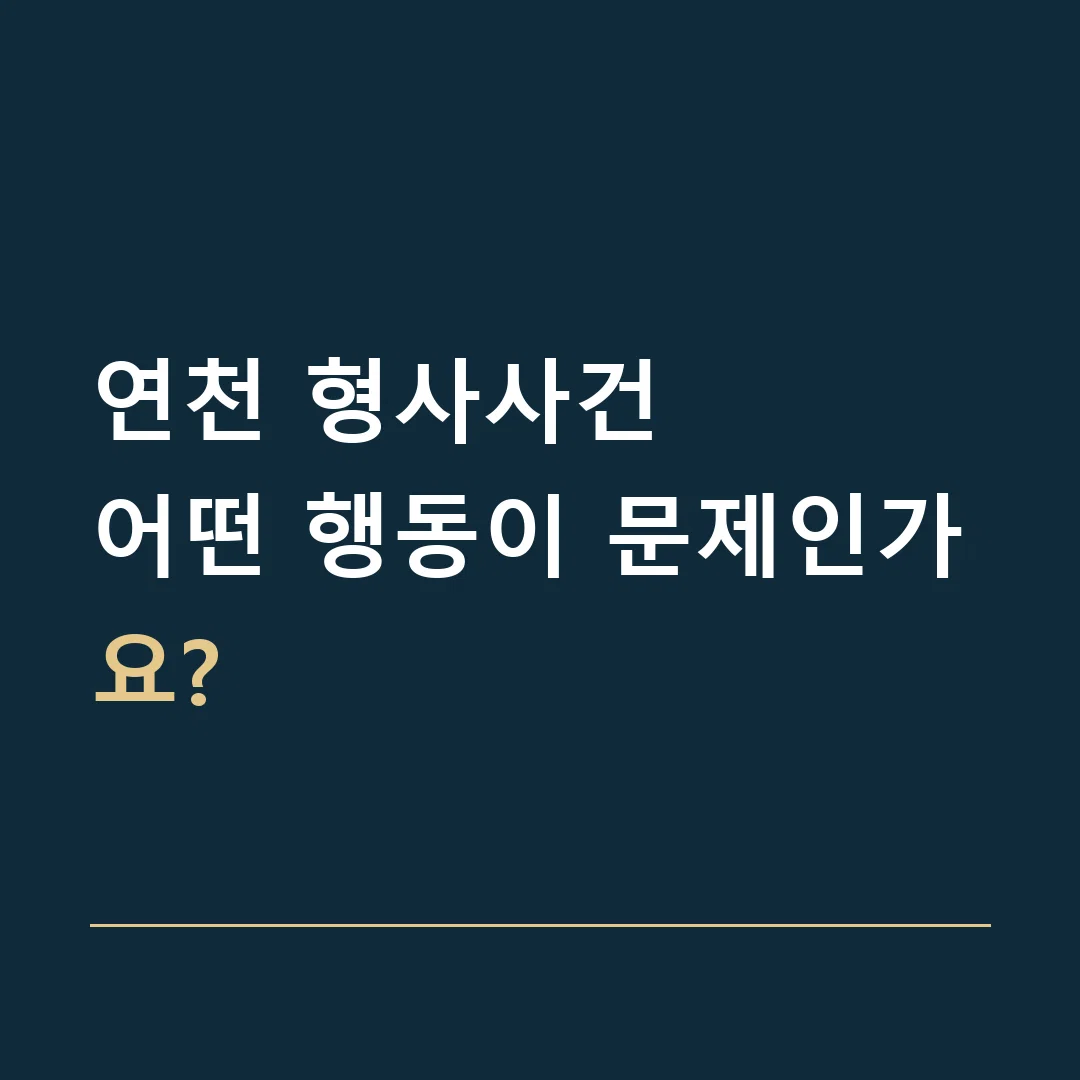 연천 형사사건 · 어떤 행동이 문제인가요?