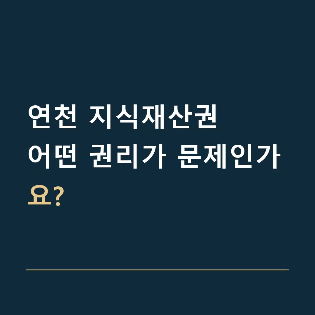 연천 지식재산권 · 어떤 권리가 문제인가요?