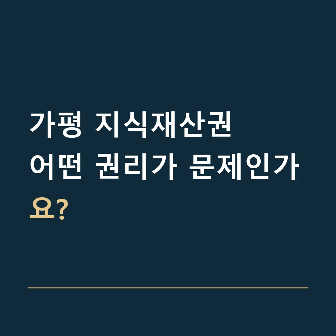 가평 지식재산권 · 어떤 권리가 문제인가요?