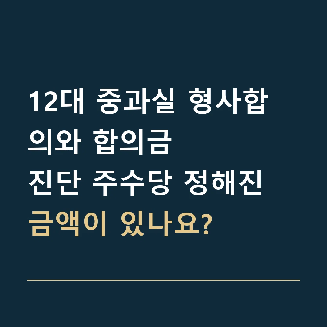 12대 중과실 형사합의와 합의금 · 진단 주수당 정해진 금액이 있나요?