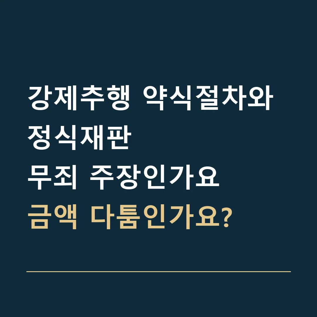 강제추행 약식절차와 정식재판 · 무죄 주장인가요
금액 다툼인가요?