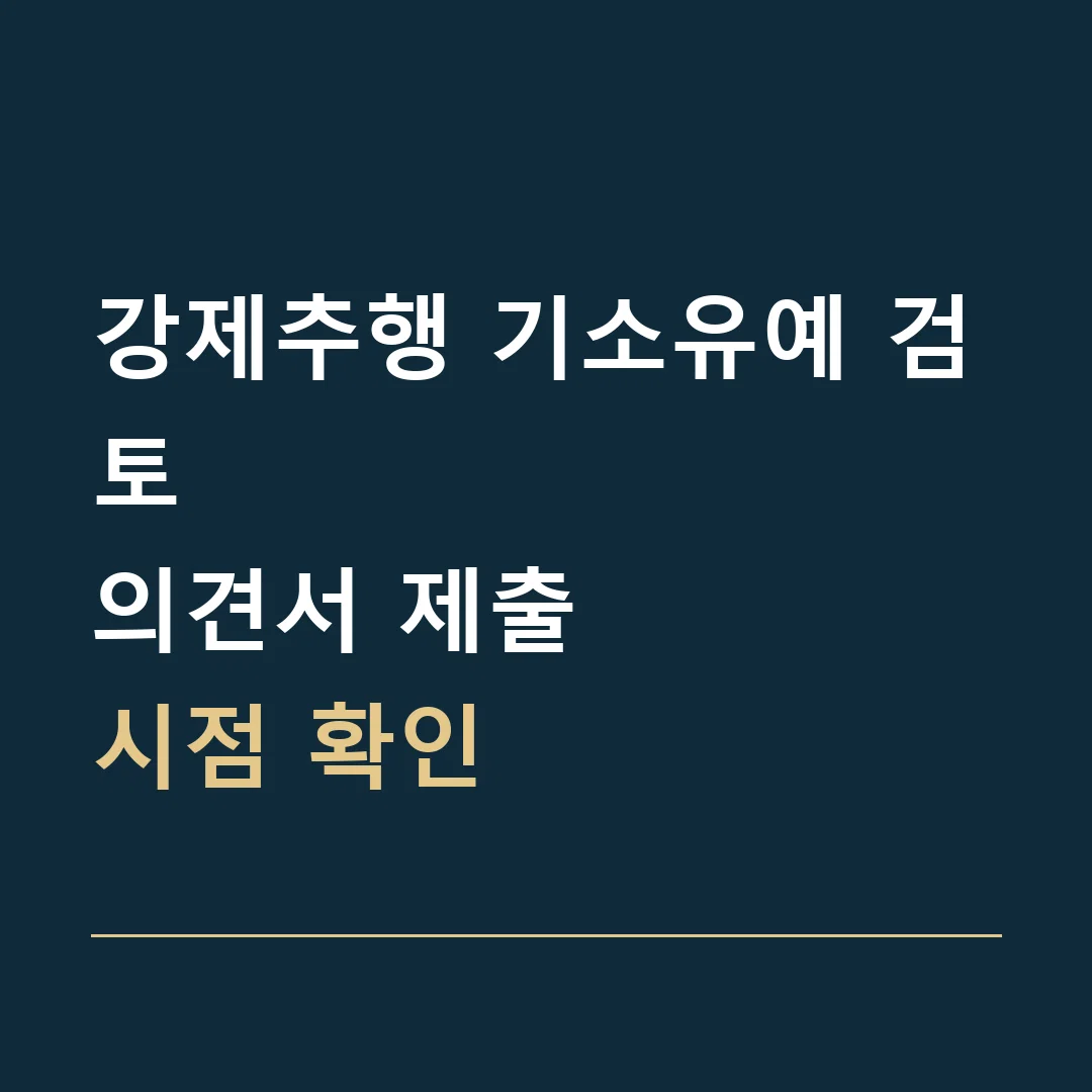 강제추행 기소유예 검토 · 의견서 제출
시점 확인