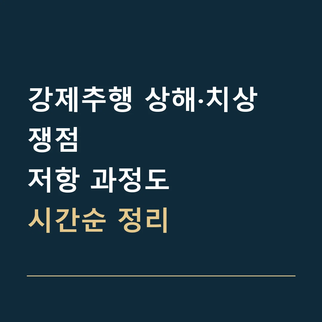 강제추행 상해·치상 쟁점 · 저항 과정도
시간순 정리