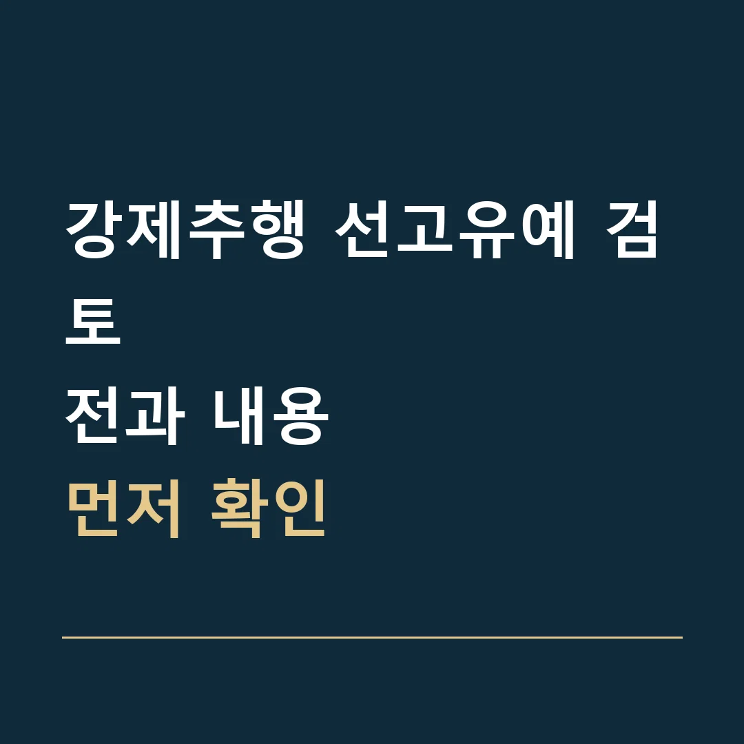 강제추행 선고유예 검토 · 전과 내용
먼저 확인