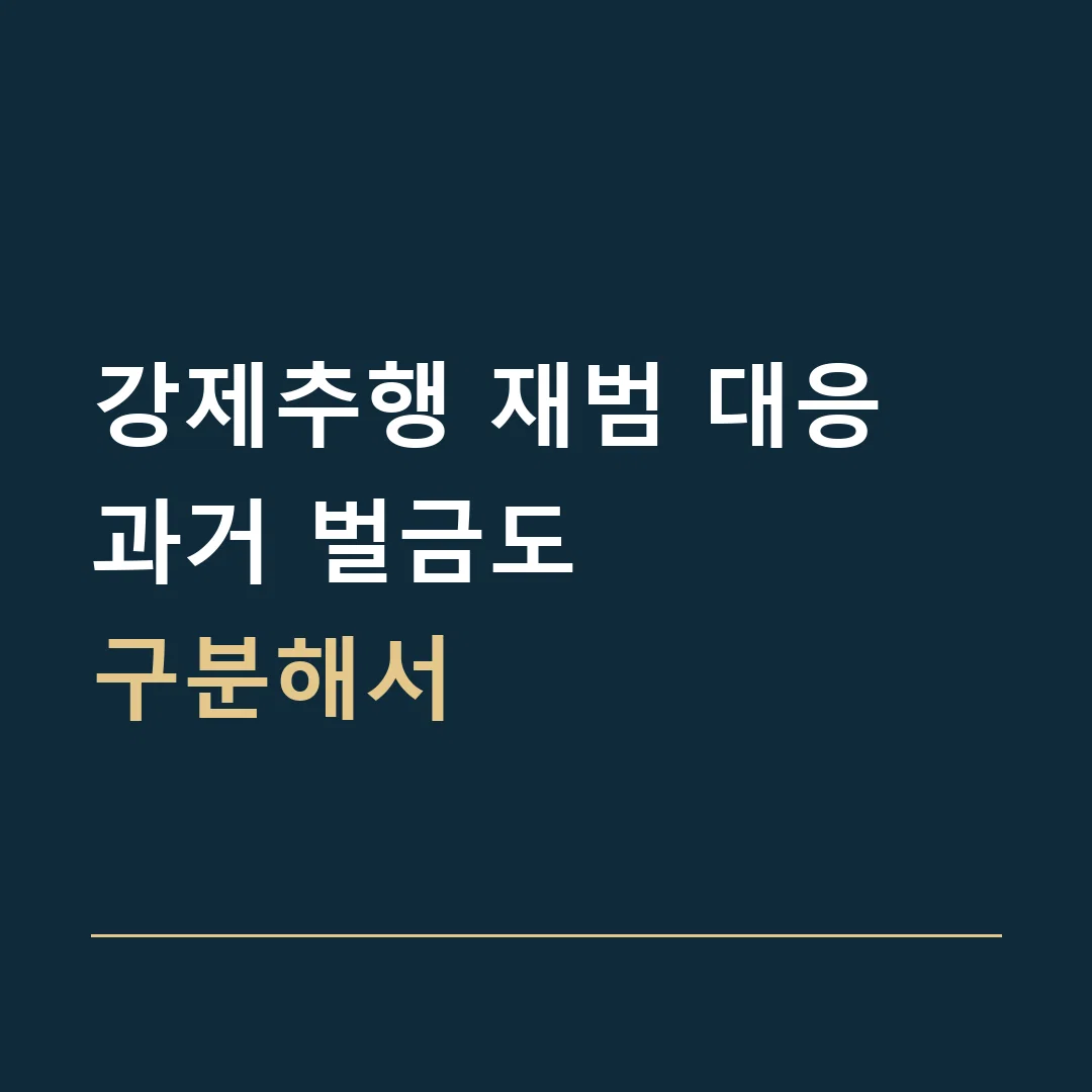 강제추행 재범 대응 · 과거 벌금도
구분해서