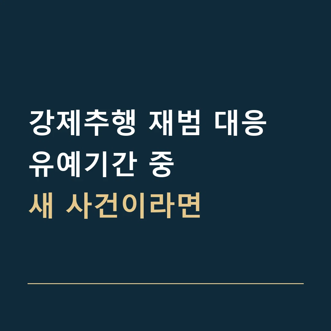 강제추행 재범 대응 · 유예기간 중
새 사건이라면