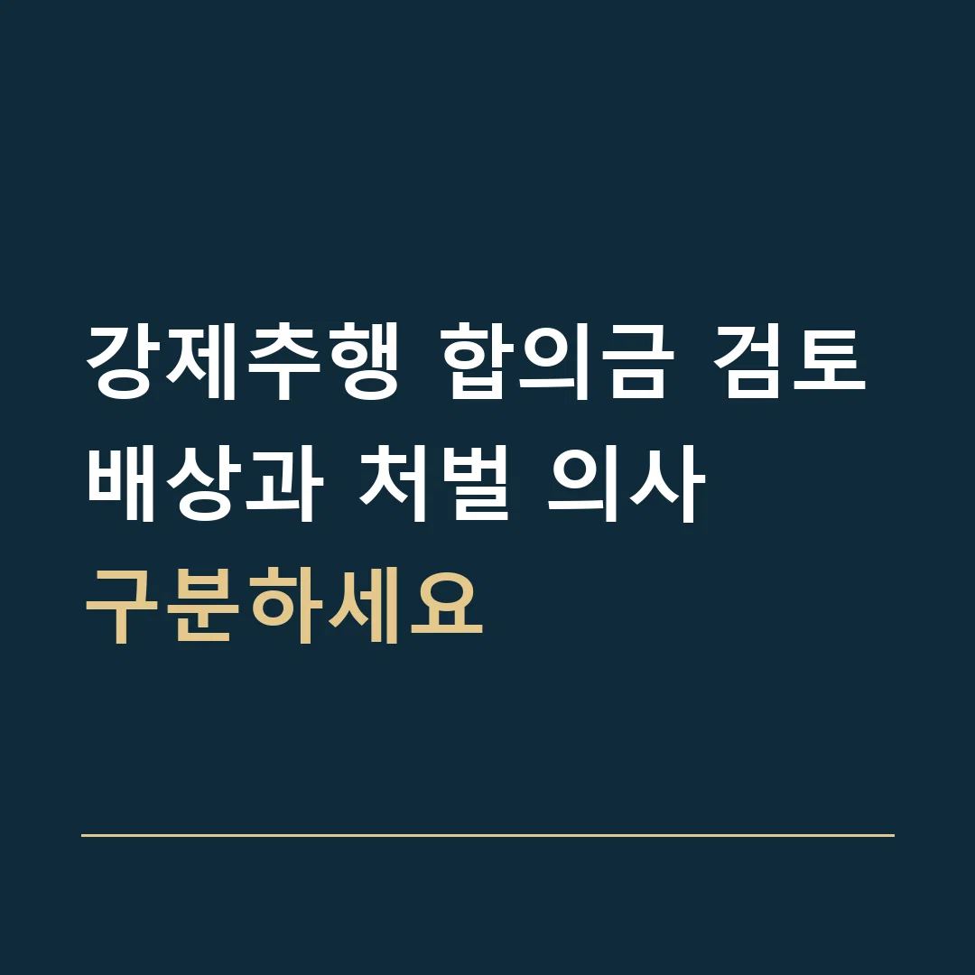 강제추행 합의금 검토 · 배상과 처벌 의사
구분하세요