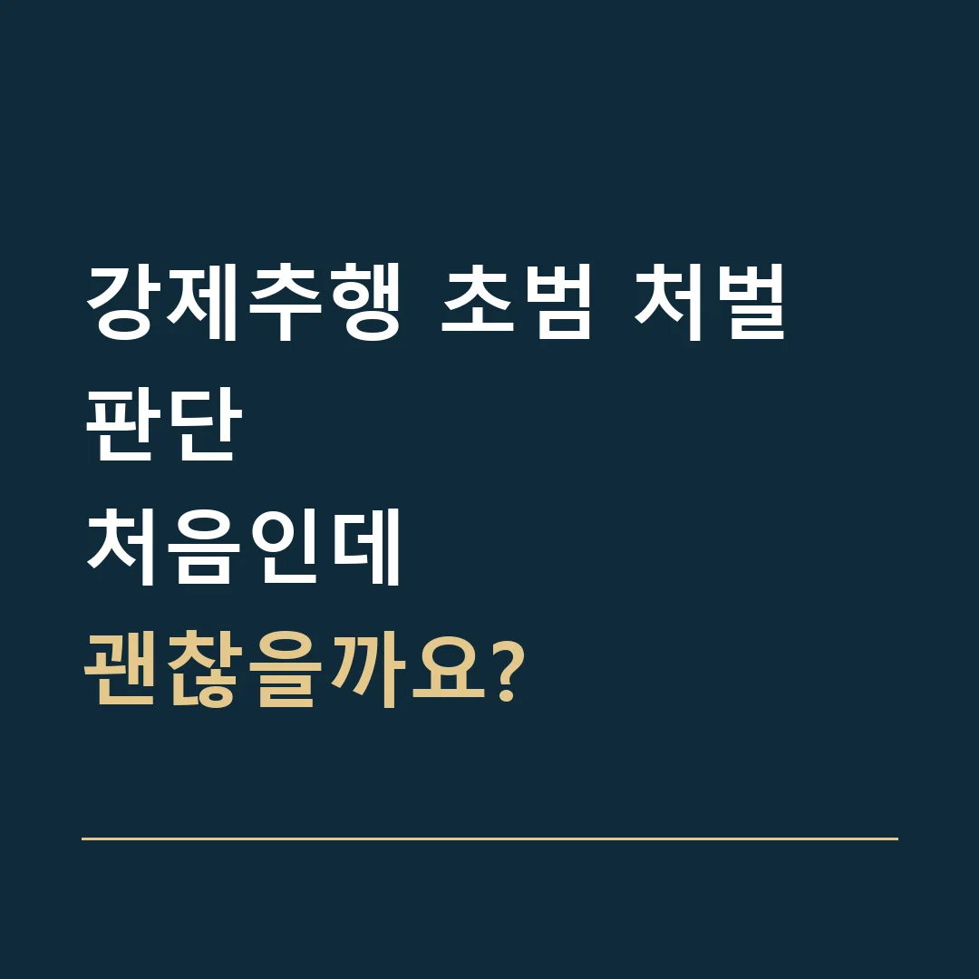 강제추행 초범 처벌 판단 · 처음인데
괜찮을까요?