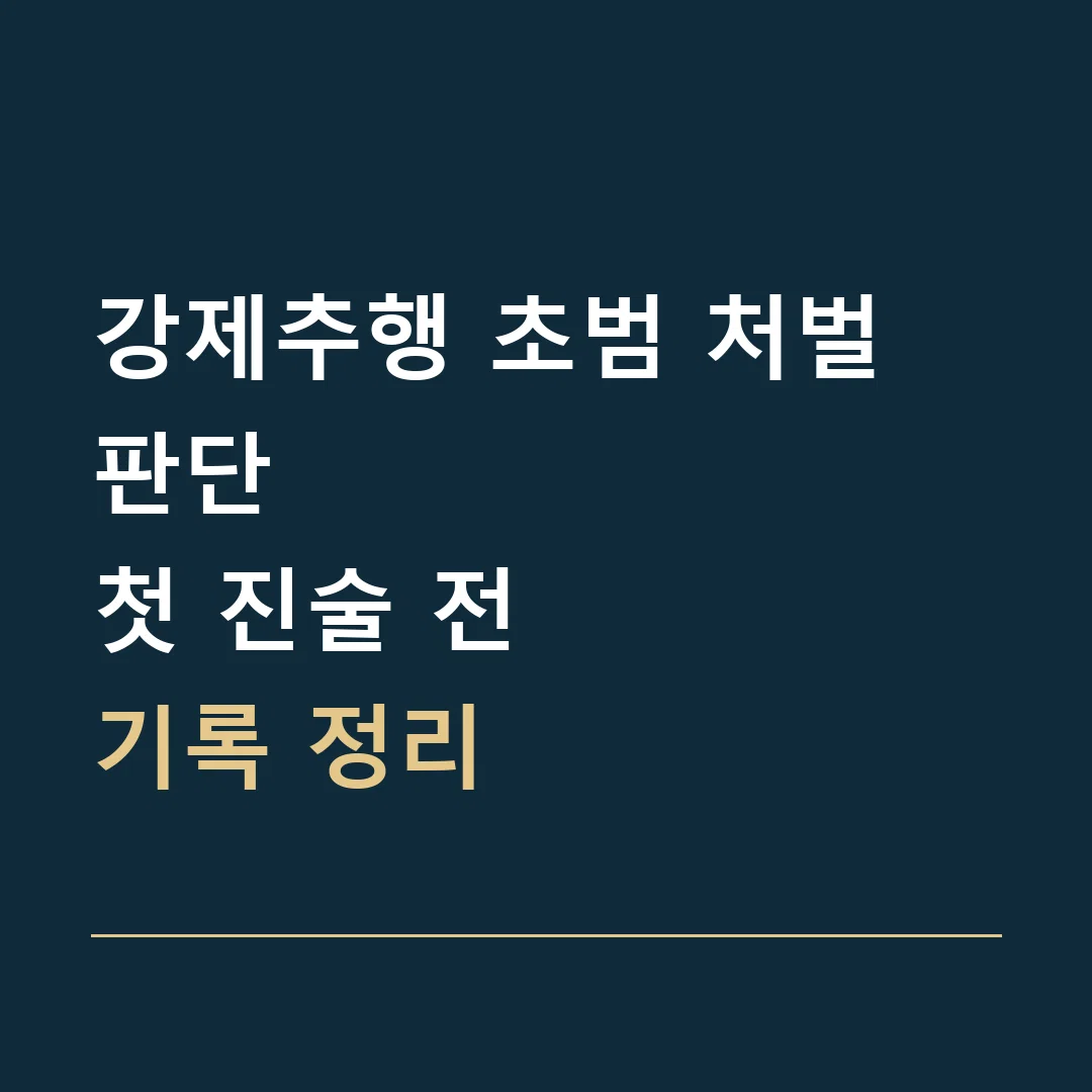강제추행 초범 처벌 판단 · 첫 진술 전
기록 정리