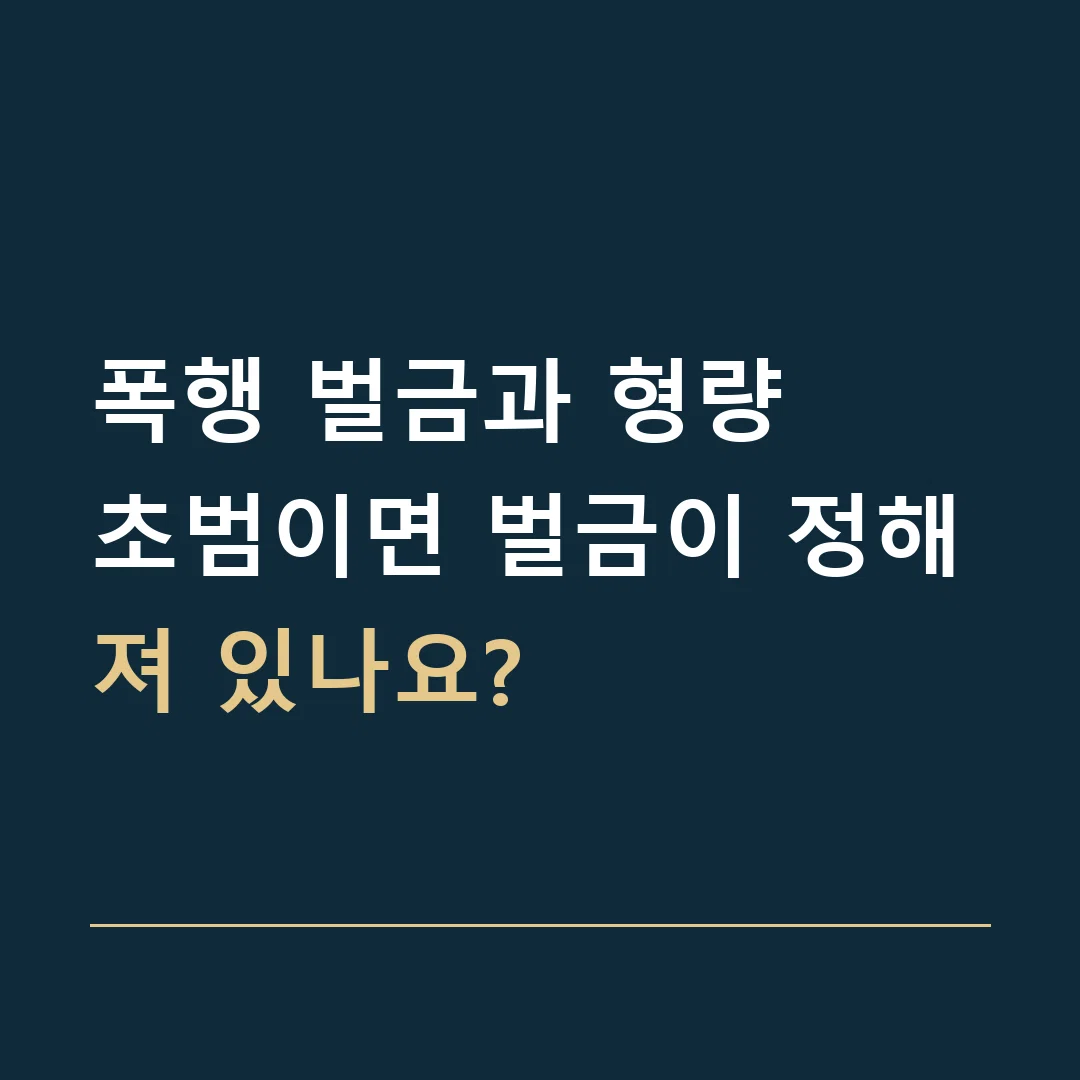 폭행 벌금과 형량 · 초범이면 벌금이 정해져 있나요?