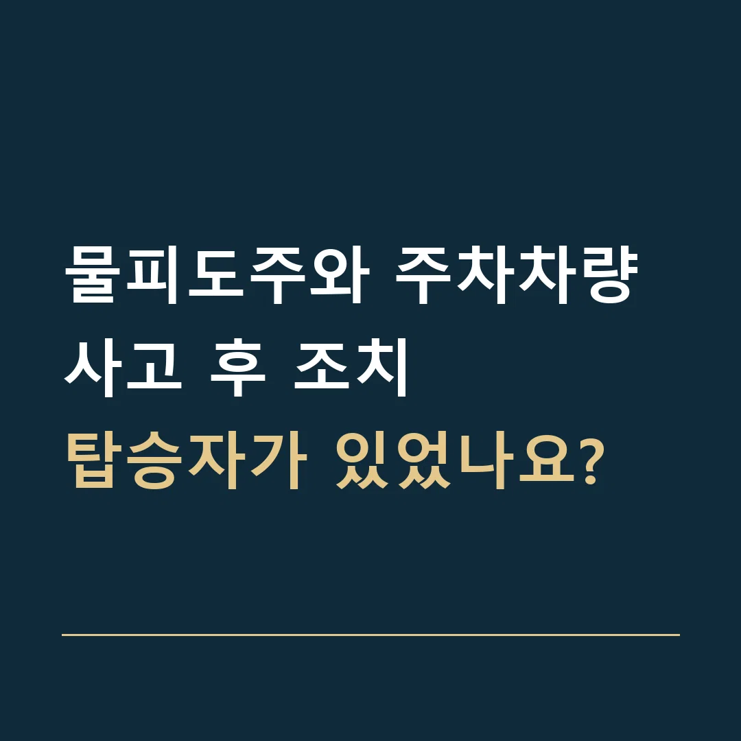 물피도주와 주차차량 사고 후 조치 · 탑승자가 있었나요?