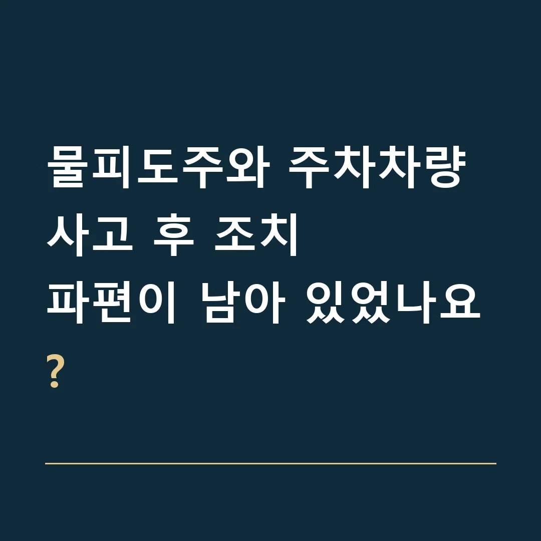물피도주와 주차차량 사고 후 조치 · 파편이 남아 있었나요?