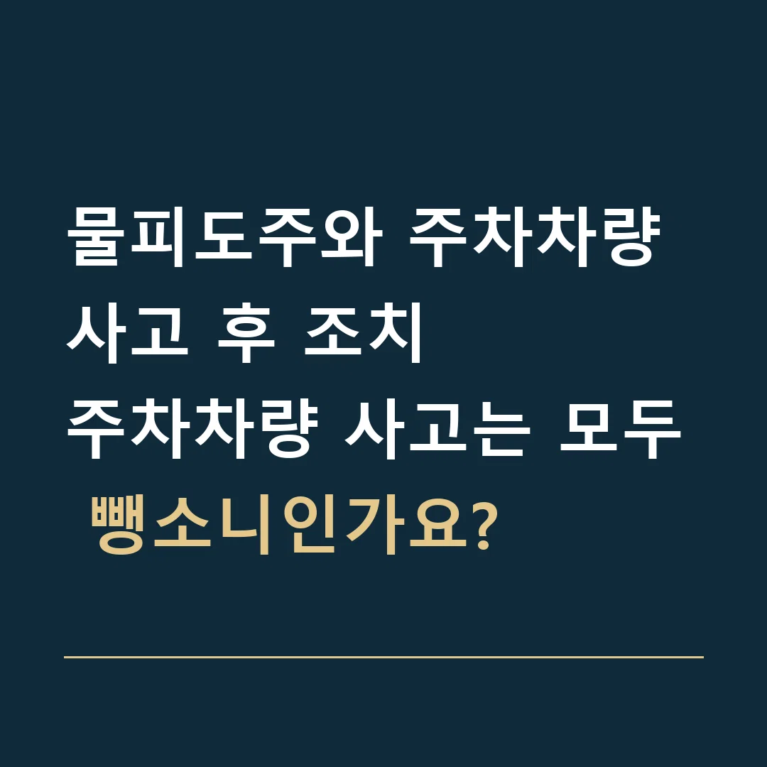 물피도주와 주차차량 사고 후 조치 · 주차차량 사고는 모두 뺑소니인가요?