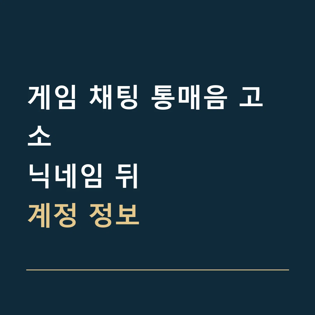 게임 채팅 통매음 고소 · 닉네임 뒤
계정 정보