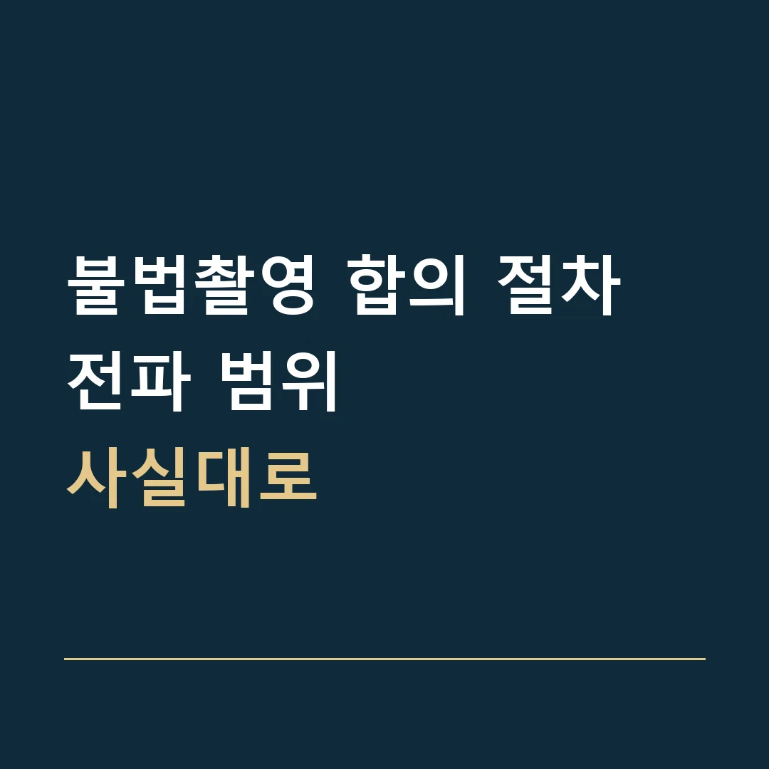 불법촬영 합의 절차 · 전파 범위
사실대로