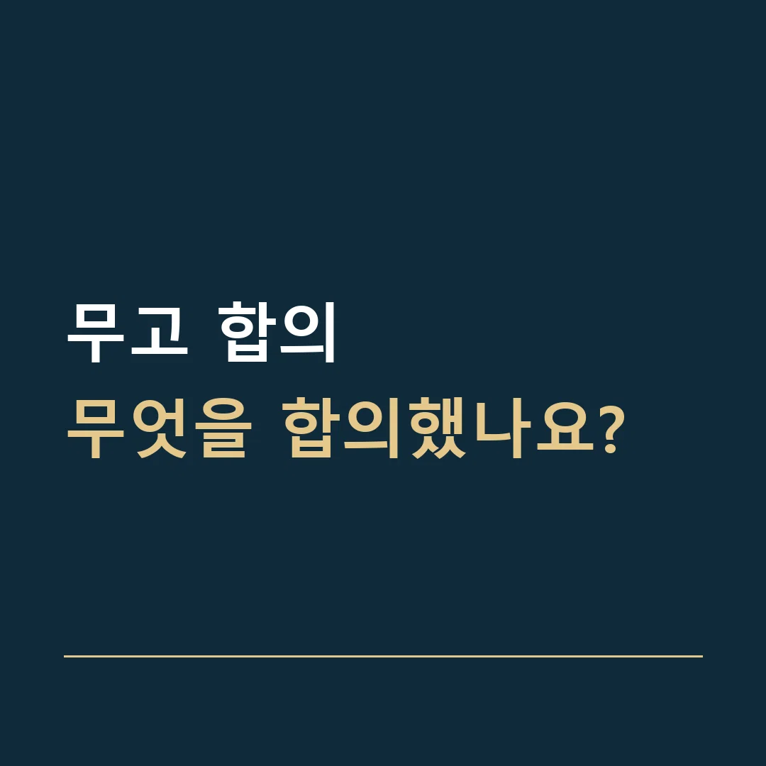 무고 합의 · 무엇을 합의했나요?