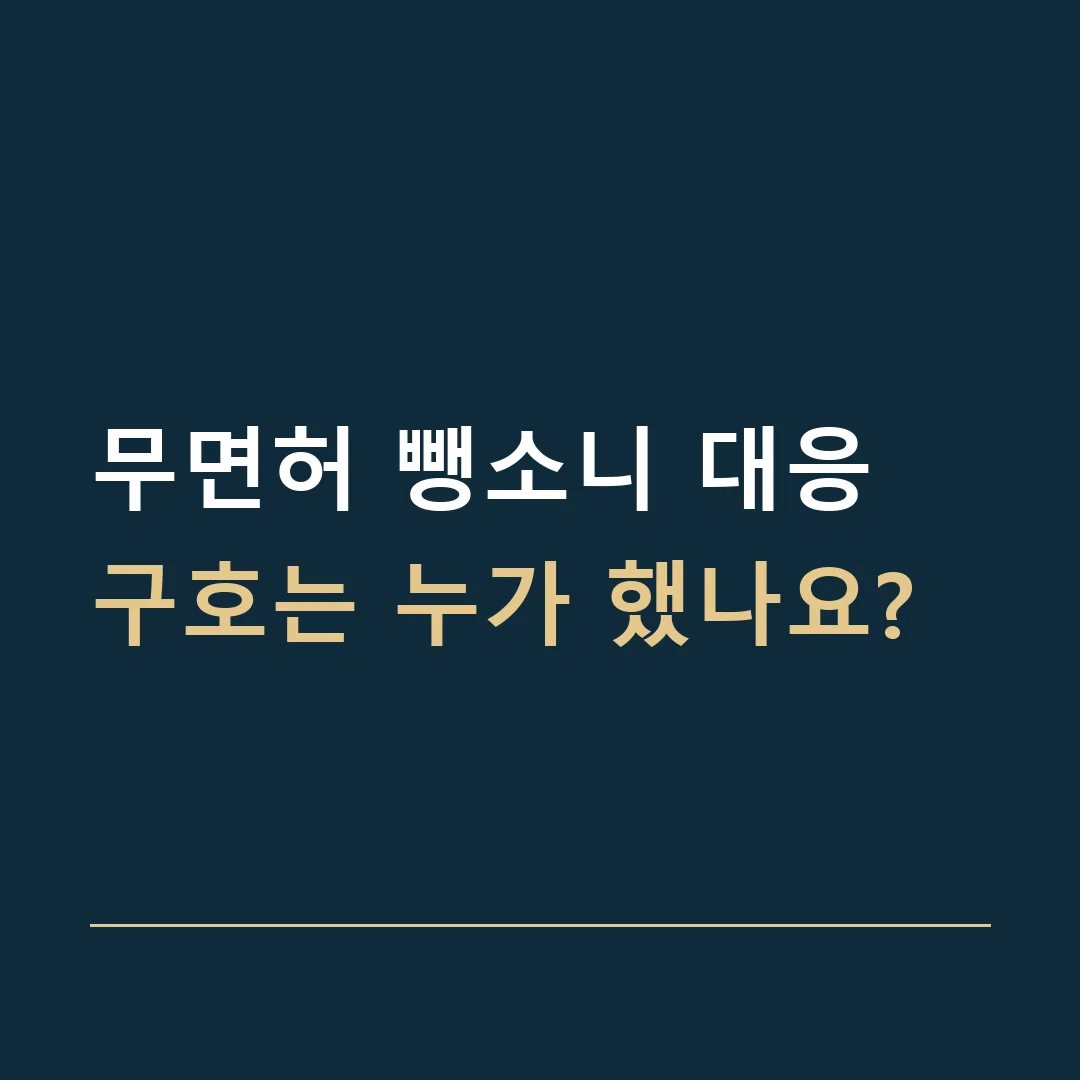 무면허 뺑소니 대응 · 구호는 누가 했나요?