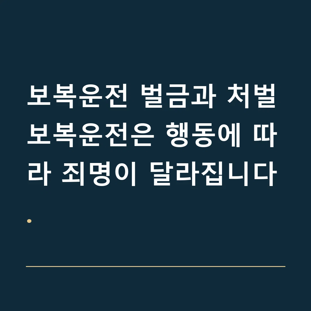 보복운전 벌금과 처벌 · 보복운전은 행동에 따라 죄명이 달라집니다.