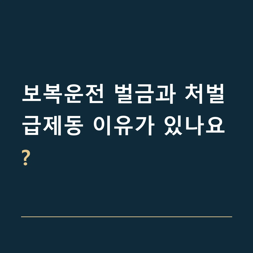 보복운전 벌금과 처벌 · 급제동 이유가 있나요?