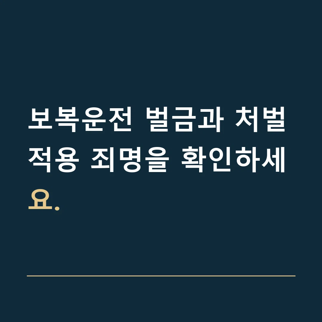 보복운전 벌금과 처벌 · 적용 죄명을 확인하세요.