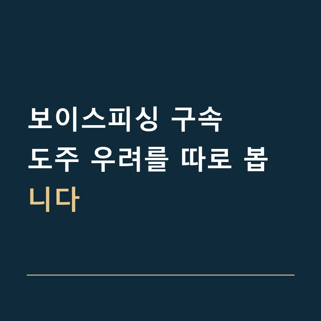 보이스피싱 구속 · 도주 우려를 따로 봅니다