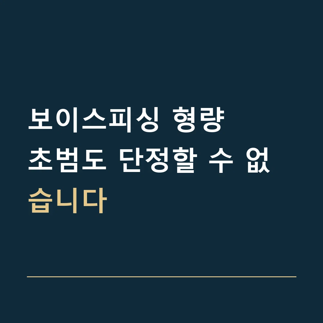 보이스피싱 형량 · 초범도 단정할 수 없습니다