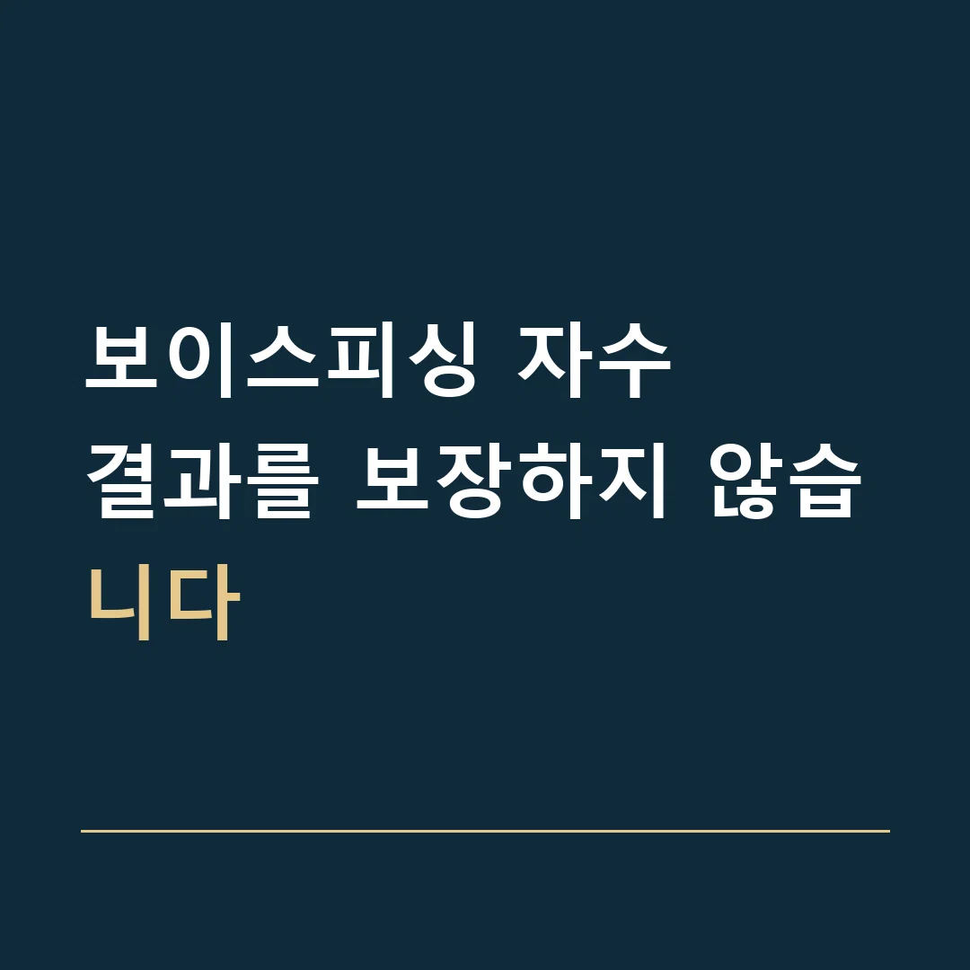 보이스피싱 자수 · 결과를 보장하지 않습니다