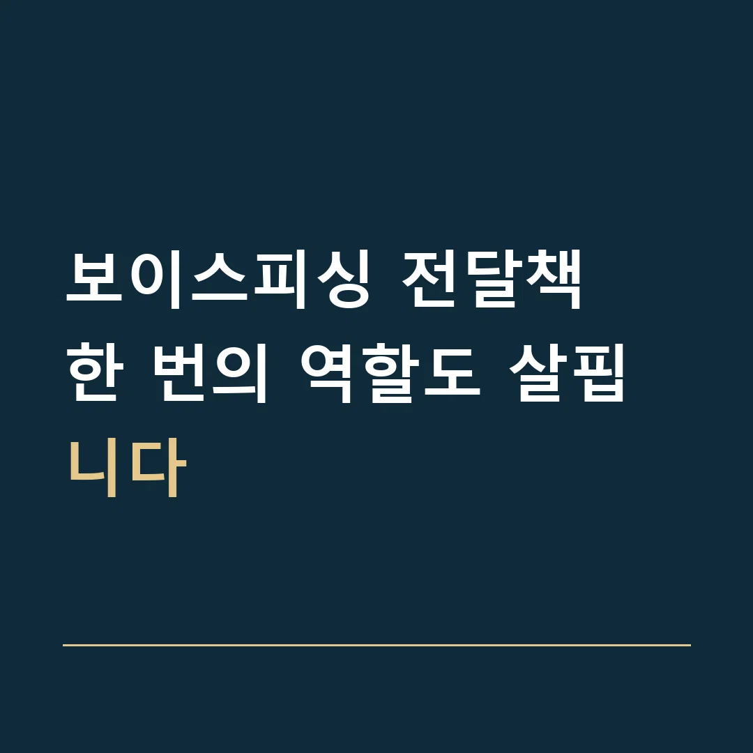보이스피싱 전달책 · 한 번의 역할도 살핍니다