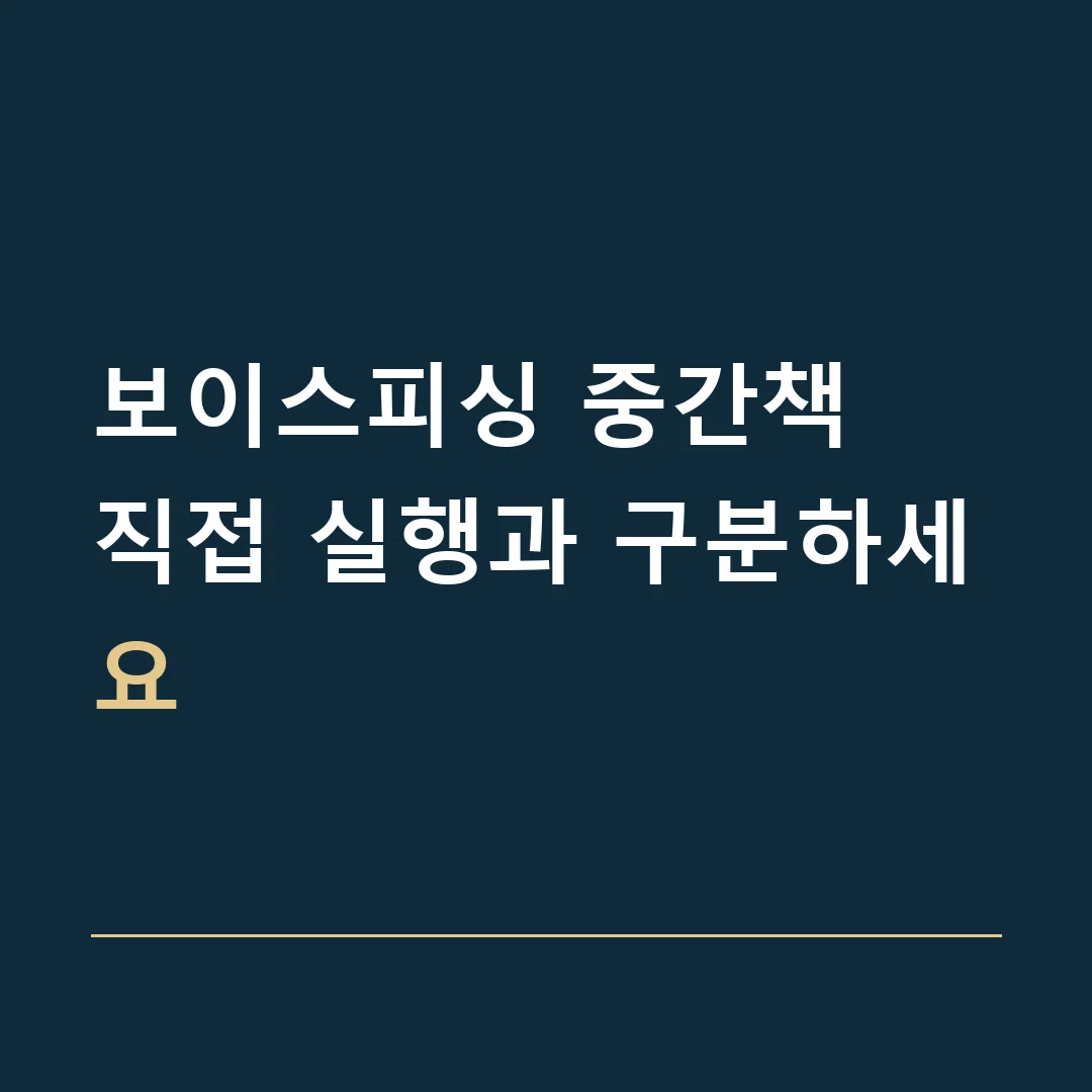 보이스피싱 중간책 · 직접 실행과 구분하세요