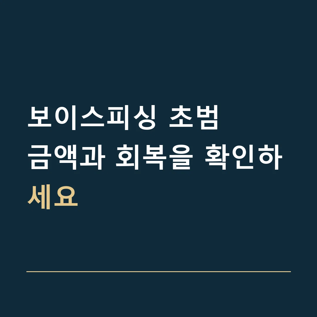 보이스피싱 초범 · 금액과 회복을 확인하세요