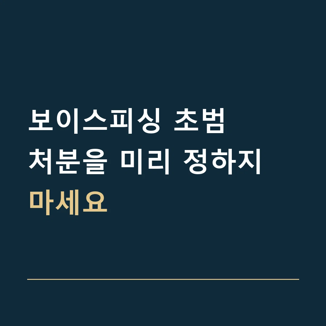 보이스피싱 초범 · 처분을 미리 정하지 마세요