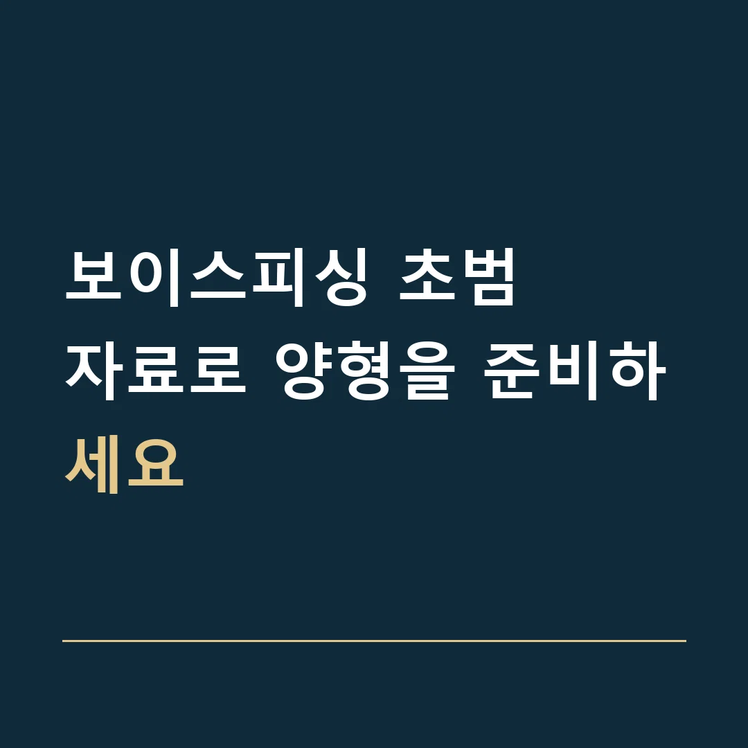 보이스피싱 초범 · 자료로 양형을 준비하세요